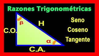 ✅👉 Como Saber cual es la Hipotenusa Cateto Opuesto y Cateto Adyacente [upl. by Morgana]