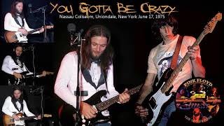 Pink Floyd  You Gotta Be Crazy 19750617 2496 [upl. by Araet]