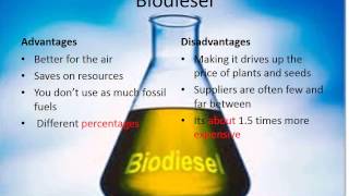 The Difference Between Diesel and Biodiesel [upl. by Yuk853]