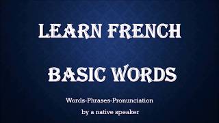 Learn French basic words [upl. by Nyrtak]