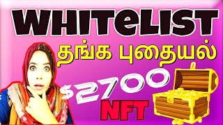 What is an NFT whitelist – How To Get Whitelisted [upl. by Ecnerwaled918]