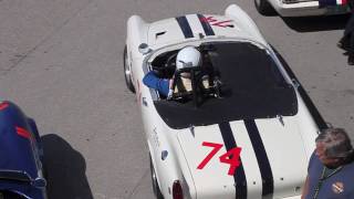 tigers at the monterey historics in HD [upl. by Ttevy]