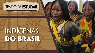 Indígenas do Brasil l Tempo de Estudar  História  7º ano [upl. by Lerner]