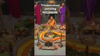 Trimbakeshwar Mandir jyotirling Nashik Trimbakeshwar kalsrp dosh Puja Rahu ketu Puja [upl. by Almita]