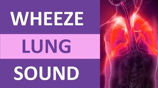 Wheezing Lung Sound Audio High Pitch  Nursing Adventitious Lung Sounds NCLEX Review [upl. by Gnim263]