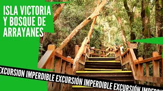 🔴 ¿Cómo es ISLA VICTORIA y BOSQUE DE ARRAYANES  Excursión imperdible en Bariloche 2022 [upl. by Htelimay]