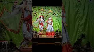 Krishna radhe radheradhejapochaleaaengebihari krishna love premanandjimaharaj [upl. by Nomzaj]