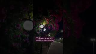 ٱࢦࢦۿِمۭ ٱمۭيّنِ🥹🤍🤍 اجرليولك قرانكريم اكسبلورexplore لايكاشتراك [upl. by Ermengarde957]