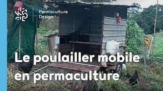 Permaculture  les avantages du poulailler mobile [upl. by Eannej20]