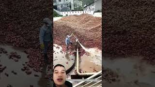 Khoai lang construction work keşfet funny agriculture [upl. by Zhang]