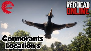 Cormorants Locations rdr2 Online  Red Dead Online Cormorants Location Guide [upl. by Sprung]