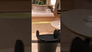 Sybaris Pool Suites Mequon Yikes pt2 [upl. by Eirrot]