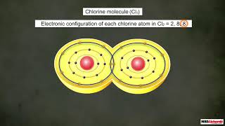 Carbon and Its Compounds  Introduction amp Covalent Bonding in Carbon  Class 10 Chemistry Chapter 4 [upl. by Llevel]