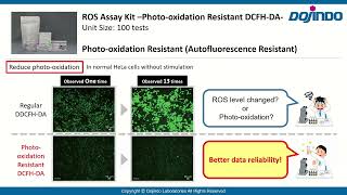 ROS Assay Kit Photooxidation Resistant DCFHDA Dojindo Laboratories [upl. by Adiana409]