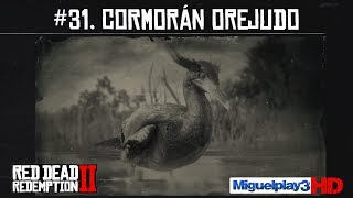 Localización Cormorán Orejudo  31 Compendio Animales  Red dead redemption 2 [upl. by Amej]