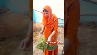 bheedebheedesuit amitsainirohtakiya haryanvisong viralvideo plzsubscribe [upl. by Dayna]