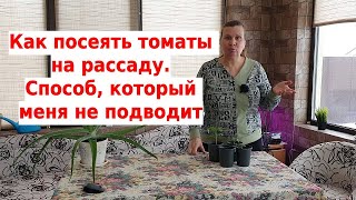 Все о рассаде томатов как сеять как правильно ухаживать в первые дни [upl. by Neerak]