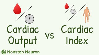 Cardiac Output vs Cardiac Index [upl. by Ilyssa535]