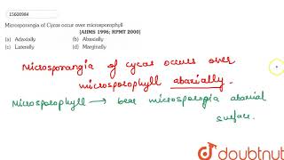 Microsporangia of Cycas occur over microsporophyll  11  PLANT KINGDOM  BIOLOGY  ERRORLESS [upl. by Ybroc545]