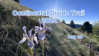 Day 30 Continental Divide Trail 2024 Snazzy on Trail Wrong Way again Bear Sighting and cow ponds [upl. by Aicrop]