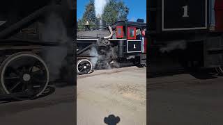 Steam Locomotive at Roots of Motive Power steamtrain steamlocomotive train [upl. by Libnah704]