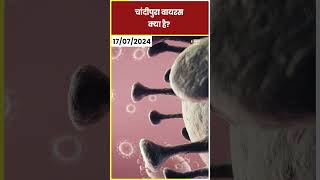 Chandipura Virus Infection चांदीपुरा वायरस क्या है   Gujarat  Virus  Dainik Jagran shorts [upl. by Niwrek]