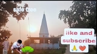 today morning seen safe tree🌳🙏😍😍trending trend vlog bihar tree safe souravjoshivlogs7028 [upl. by Otecina244]