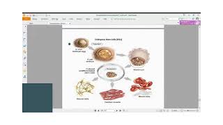 Immunology Lecture Series53Stem cells for transplantation [upl. by Yleve919]