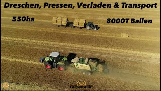 Dreschen Pressen Verladen amp Transport 550ha Getreide amp 8000T Ballen Gersten ernte 2023 [upl. by Truscott170]