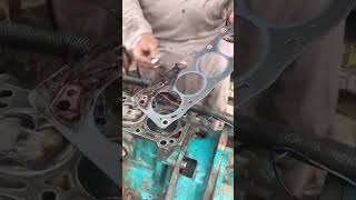 gasket fitting with shellac tube expert mechanic [upl. by Anahpos28]