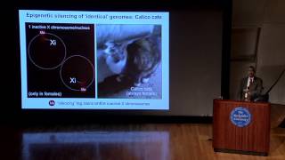 Talking Science quotEpigenetics Inheriting More Than Genesquot featuring C David Allis [upl. by Miguela]