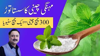 1 Spoon Stevia  300 Spoons of Sugar  Stevia Powder with 0 Calories [upl. by Levesque]