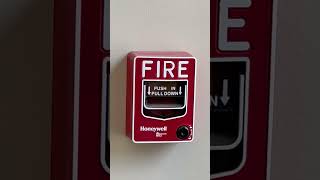 Honeywell BG12 fire alarm [upl. by Robinson451]