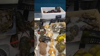 Qatar ல இத்தன வகை Shellfish கிடைக்குமா 😍 minivlog tamil fish [upl. by Pucida397]