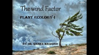 Wind as an Ecological factor and its Importance in Plant Ecology [upl. by Jemena]