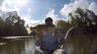 Exploring Stubblefield Lake Surprise Catch [upl. by Ranip338]