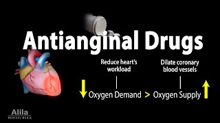 Pharmacology Antianginal Drugs Animation [upl. by Ara224]