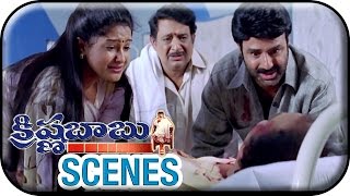 Krishna Babu Telugu Movie Scenes  Suthivelu No More In Hospital  Raasi [upl. by Ahseikram531]