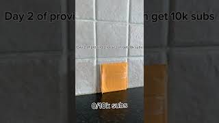 Day 2 of proving cheese can get 10k subs fyp springonshorts [upl. by Pyotr218]