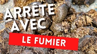 Nutilise jamais du fumier frais dans tes parcelles [upl. by Tristis468]