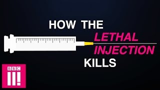 How The Lethal Injection Kills [upl. by Nyrmac590]