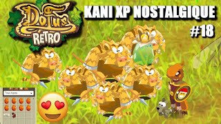 Dofus Rétro Team de Zéro  Ep18  KANI XP NOSTALGIQUE   Achat 8 Dofus Cawotte [upl. by Haseefan]