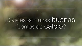 ¿Cuáles son unas buenas fuentes de calcio [upl. by Yci]