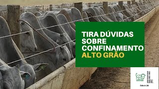 Tira dúvidas sobre confinamento alto grão [upl. by Akeit]