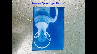 How to Cyanotype Teacup Refraction Process satisfyingart viralart [upl. by Eniamaj]