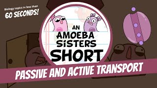 Passive and Active Transport  Amoeba Sisters Shorts [upl. by Asa]