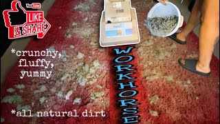 WORKHORSE Fluffy Natural Dirt CRUNCH 🙌🏽🔥❣️  Long Passes  NDQ 🦋 [upl. by Jaquelyn]