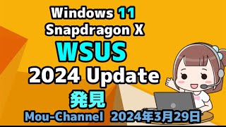 Windows 11●Snapdragon X●WSUS●2024 Update●発見 [upl. by Vittoria]