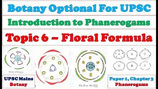 Floral Formula Meaning of Symbols in Floral Formula Floral Diagram amp Floral Formula Botany GK [upl. by Randolph]