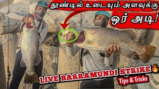 CATCHING 11KG BIGGEST BARRAMUNDI IN WORST CHINESE SOFT LURE  Fishing Special Tips For New Anglers [upl. by Suirauqed]